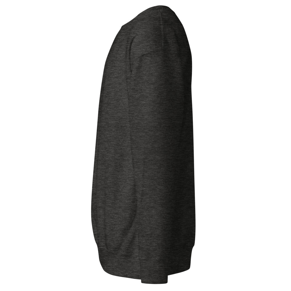 Sudadera cuello redondo — Gris carbón